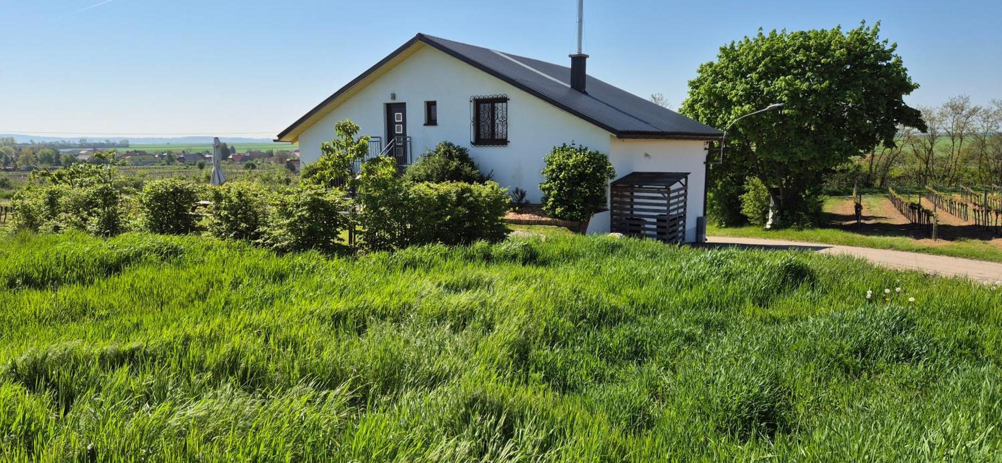 Ferienwohnung Fam. Frey Kleinhoflein Kültér fotó